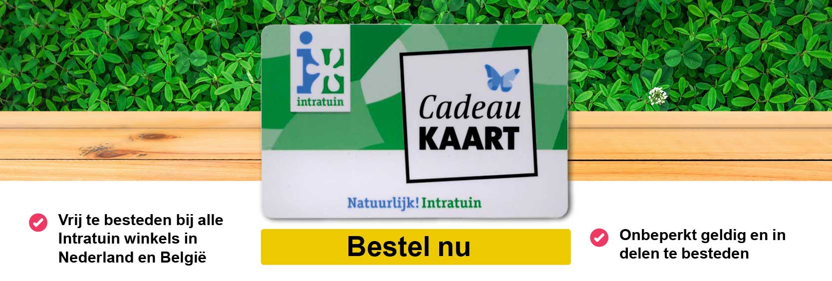 Intratuin_banner_def